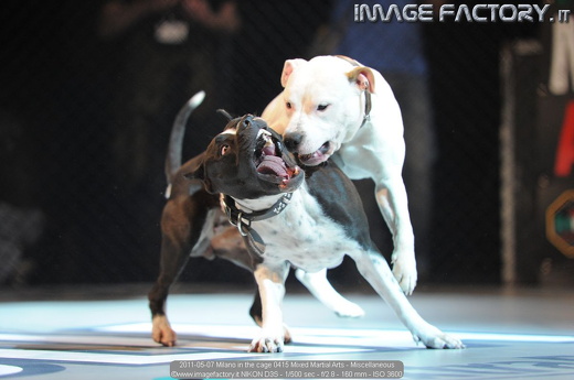 2011-05-07 Milano in the cage 0415 Mixed Martial Arts - Miscellaneous